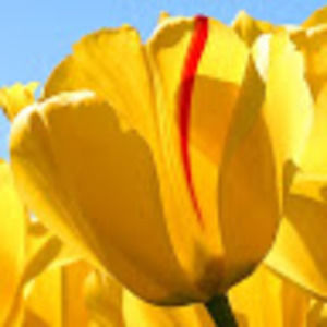 Meet your Posher, Caitlin